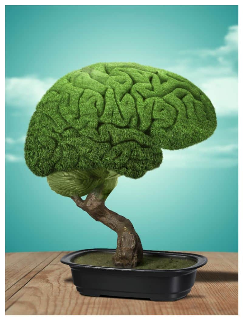 world brain day 2024 foods to boost memory and improve brain function