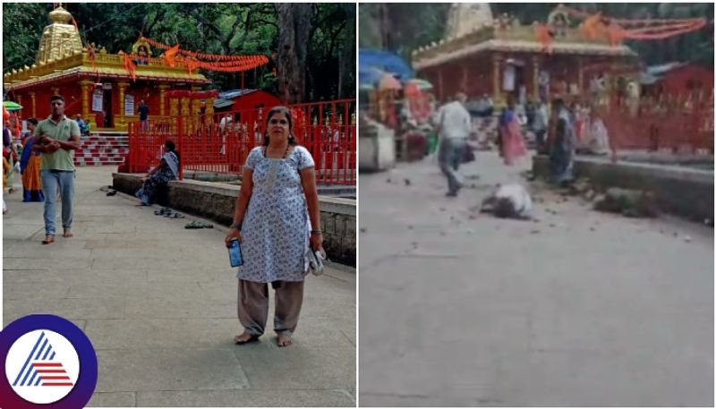 Tirumala Tirupati Devasthanam tree branch collapse on bengaluru woman and she injured sat