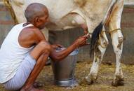 Milk production increases Uttar Pradesh A-help program Yogi Government  Farmers will benefit