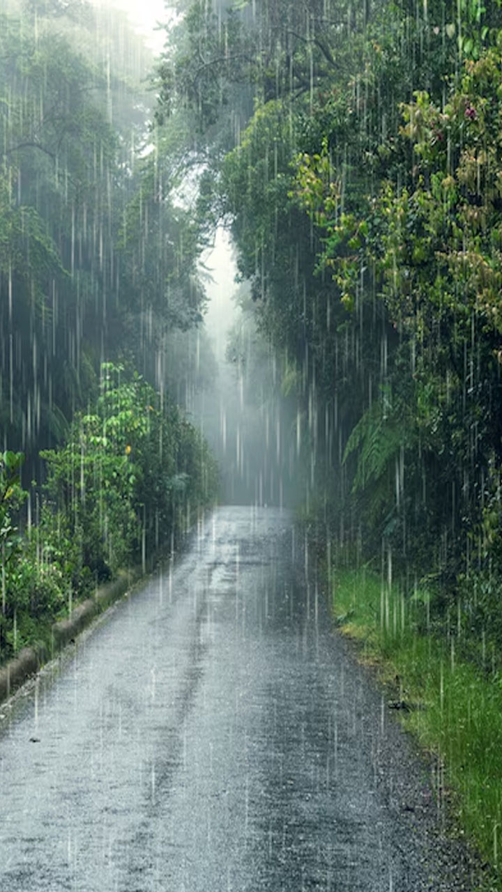 Karnataka IMD issues warning for western ghats districts as heavy rainfall expected over next three days vkp