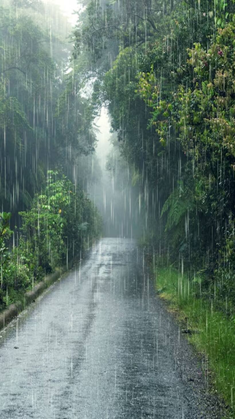 Karnataka: IMD issues warning for western ghats districts as heavy rainfall expected over next 3 days