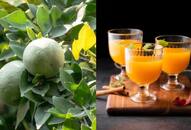 Refreshing and Healthy: How to Make Bael Sharbat for Summer NTI