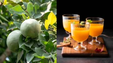 Refreshing and Healthy: How to Make Bael Sharbat for Summer NTI