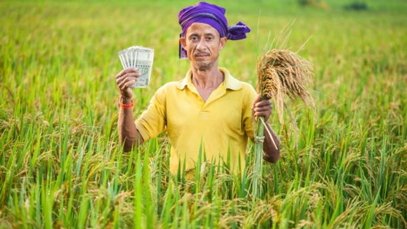 Budget 2024: Agriculture sector gets Rs 1.52 lakh crore allocation, announces FM Nirmala Sitharaman gcw