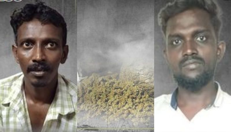 excise special squad arrested two youths with cannabis in kottayam changanassery