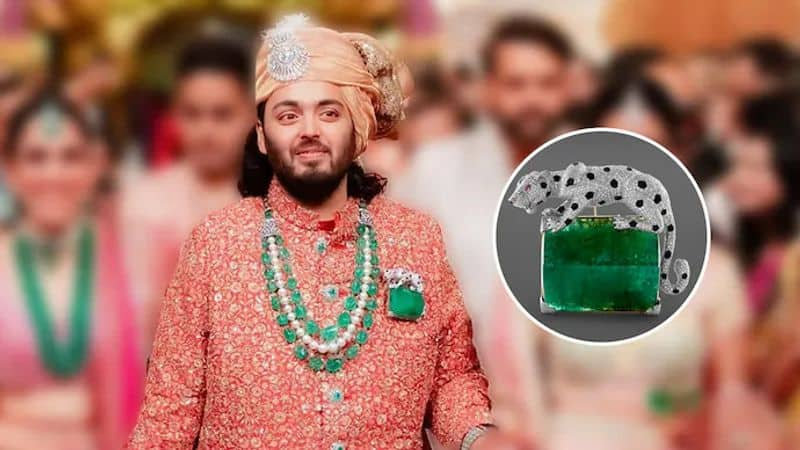 Anant ambani wear Panthere De Cartier Brooch cost deatils mma