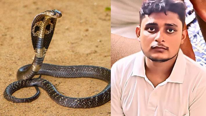 UP youth snake bite controversy, doctor reveal 