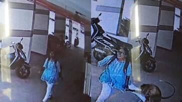 WATCH: Viral Video Shows Monkey Attacking Girl in Basement, Raising Online Safety Concerns NTI