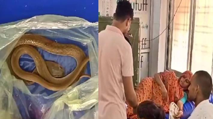 snake bite Mahoba