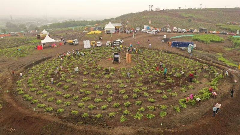 indore sets world record planting trees 