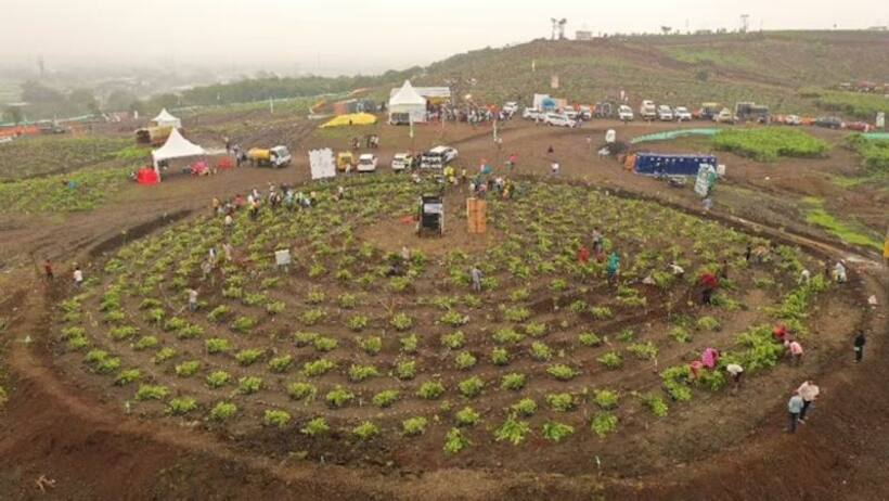 Plantation World Record: इंदौर में बना वर्ल्ड रिकॉर्ड, 12 घंटे में 12 लाख से ज्यादा पौधे लगाएं