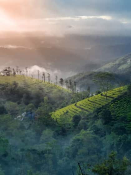 1. Munnar, Kerala
