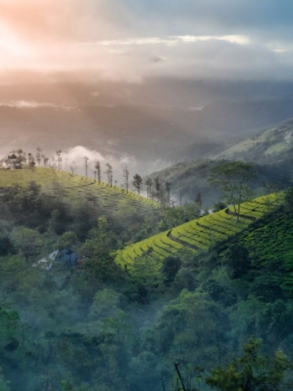 1. Munnar, Kerala
