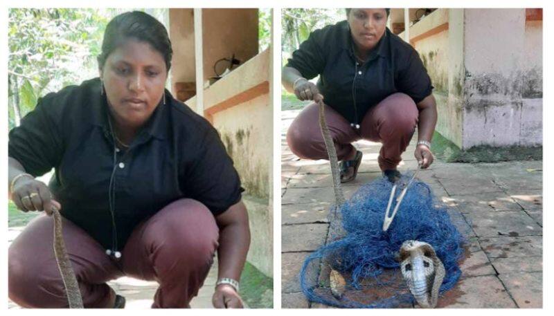 snake rescuer usha tirur journey of success 