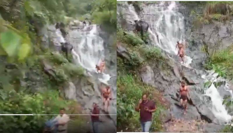 tourists defy ban on bathing in waterfall, Police walk off with their clothes