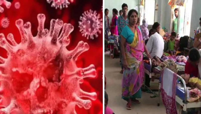 chandipura virus 6 children died in past 1 week in gujart how to prevent and what is the symptoms ans