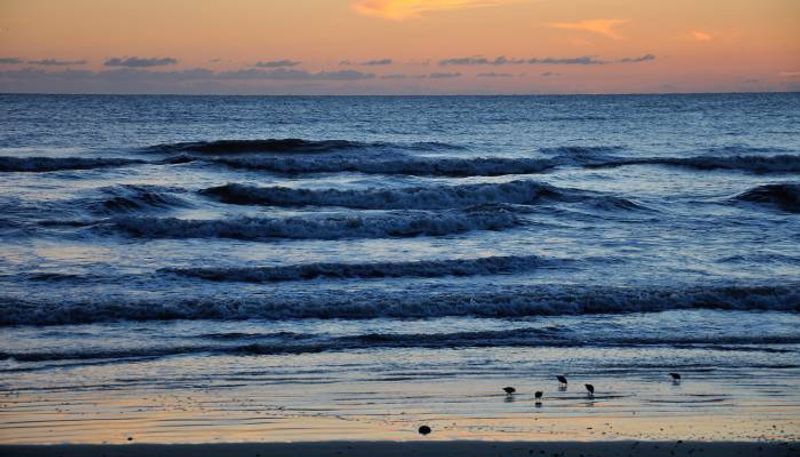 New Smyrna Beach most dangerous beach in usa