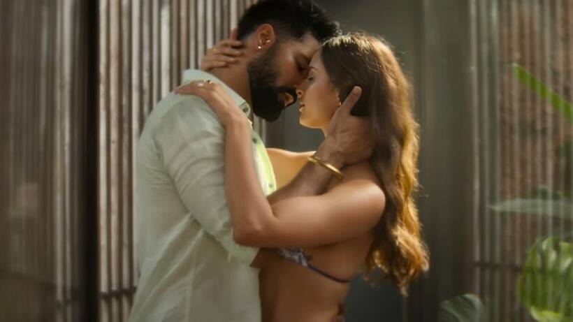 Bad Newz: Vicky Kaushal Triptii Dimri's 27 second kissing scene deleted; CBFC modifies the film