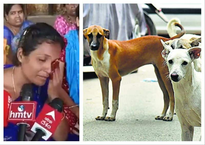 Hyderabad 18-month-old boy dragged and mauled to death by stray dogs outside home vel