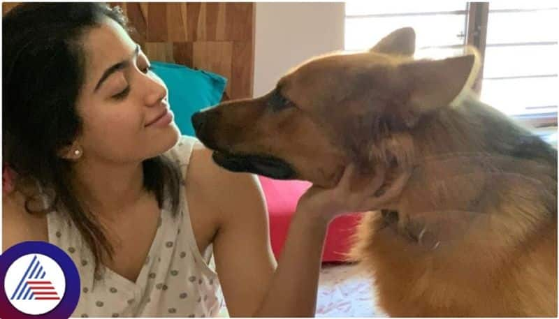 South Indian Actress Rashmika Mandanna mourns demise of her pet dog Boy Maxi sat