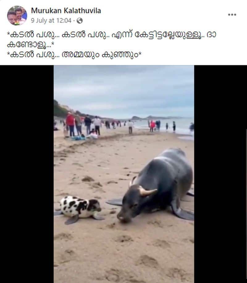 viral video of sea cow is fake