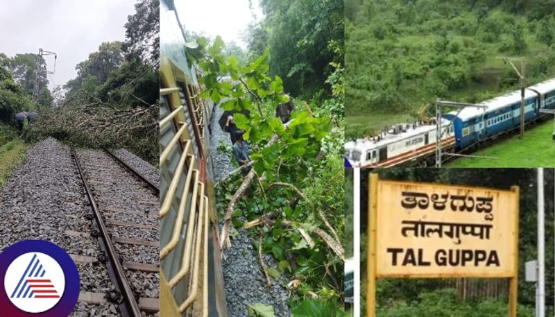 Shivamogga News huge tree fell on Bengaluru Talguppa railway track Train traffic variation sat