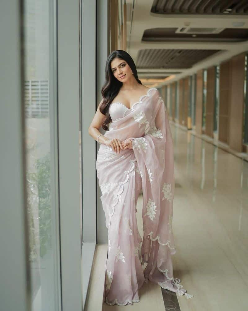 Actress Malavika Mohanan Transparent saree look photos 