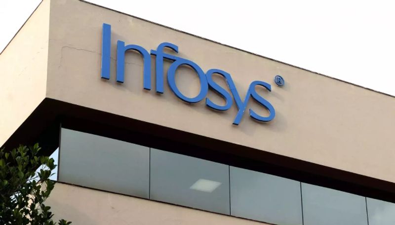 Infosys to hire 20000 to 25000 freshers in financial year 2025 see full details ans