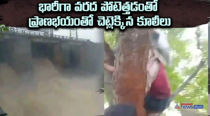 telangana bhadradri district  flood videos