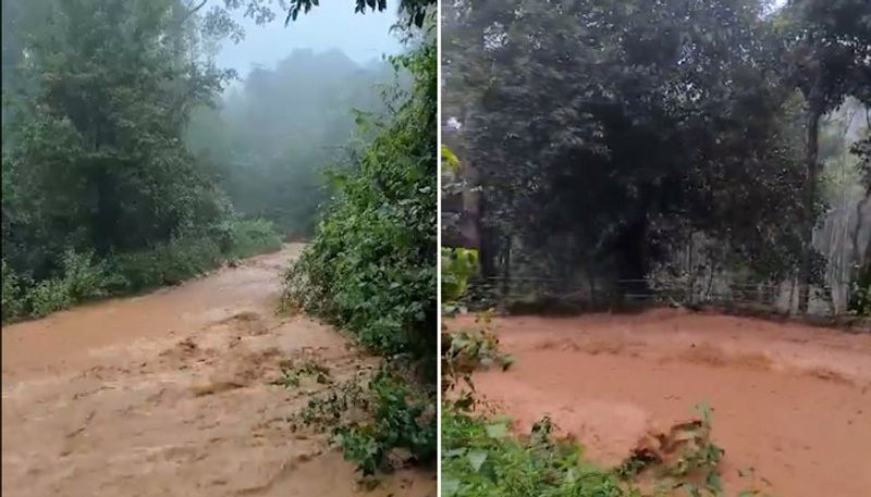 IMD issues red alert: Heavy rains to lash Gujarat and THESE states; check details AJR