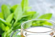 green-tea-mistakes-health-benefits