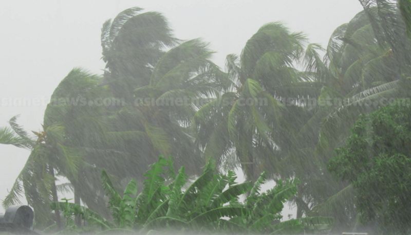 heavy rain in north kerala; Yellow alert in 3 districts, orange alert in 7 districts tomorrow