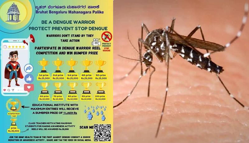 BBMP health department said that they won 1 lakh by making reels about dengue gvd