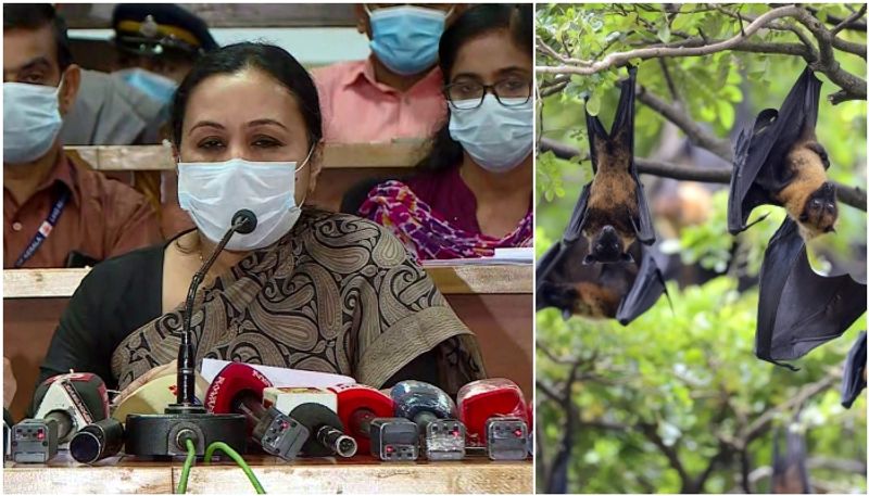 Bengaluru student dies of  nipah virus  in Kerala gow