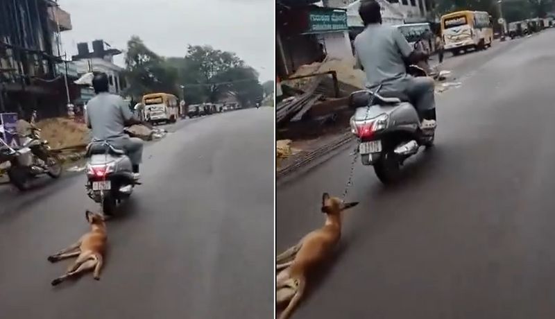 Karnataka Man drags chained dog tied to scooter for kilometres netizens demand police action WATCH vkp