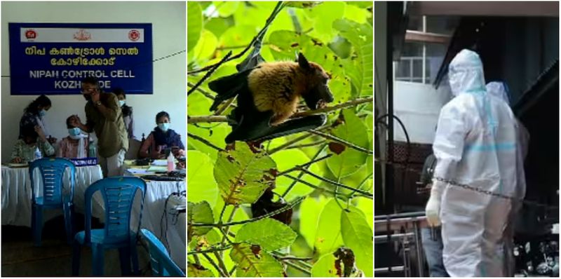 nipah keralam nipah keralam