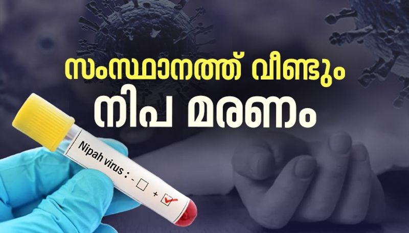 nipah death in kerala again malappuram native 14 year old child dies 