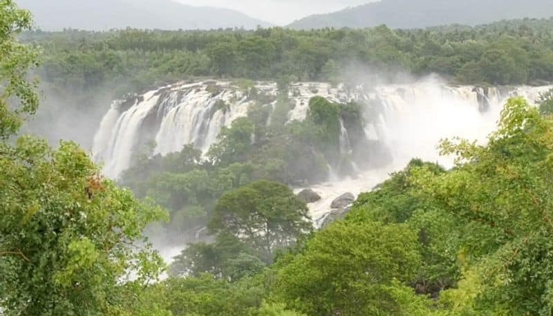 tourists rush to visited to bharachukki falls in chamarajanagara grg 