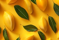 National Mango Day A delicious journey through the history of mangoes iwh