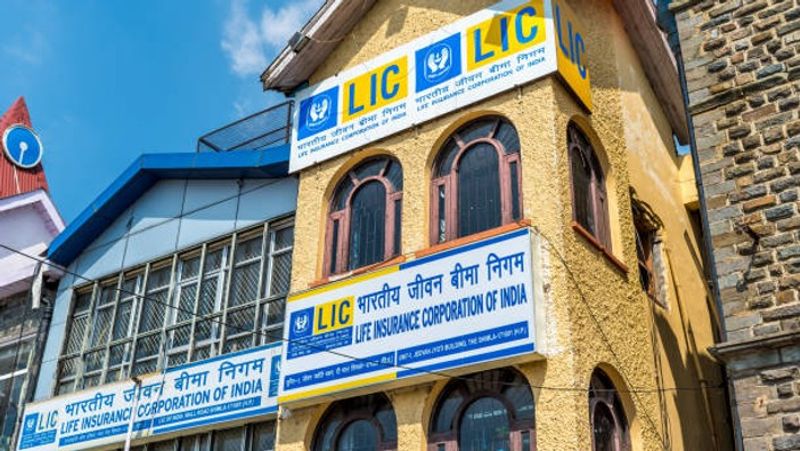 LIC share at record high m-cap hits Rs 7.56 trn post 39% rally in CY24