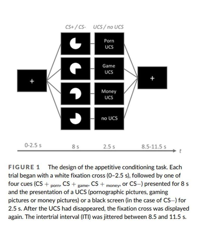 Pornography can be more rewarding than gaming or money for men, reveals recent study snt