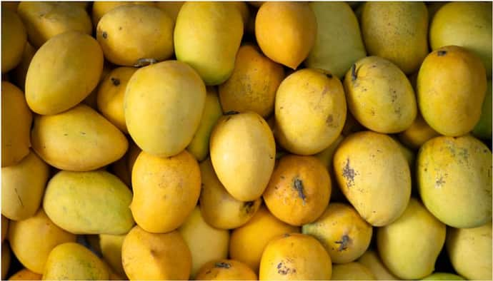 saudi achieved self sufficiency rate of 68 per cent in mango production