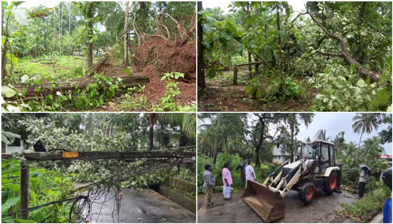 Another lightning storm in Thrissur damages 