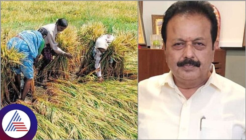 Rs 1970 crore crop insurance settlement for farmers Agriculture Minister Chaluvarayaswamy sat