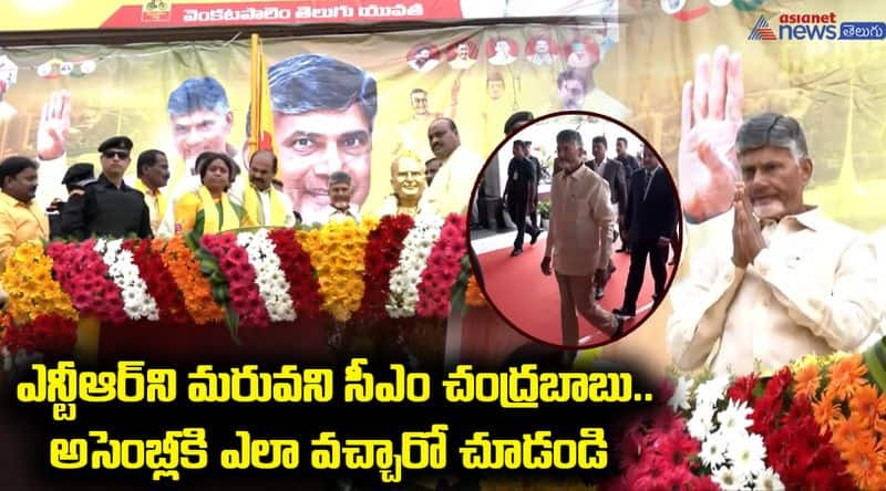 AP CM Chandrababu Entry in Assembly