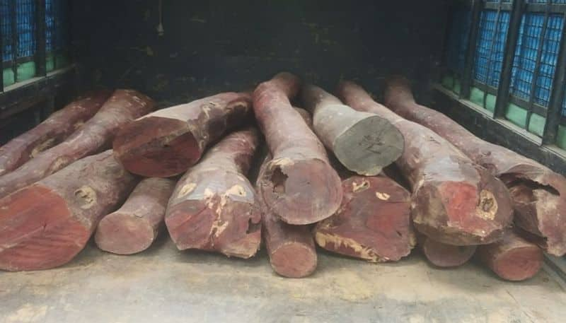 one crore worth red sandalwood seized in tumakuru grg 