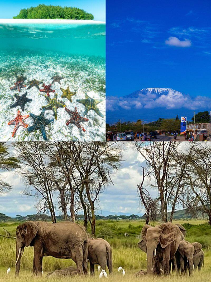 Kilimanjaro to Zanzibar archipelago: 7 places to visit in Tanzania ATG