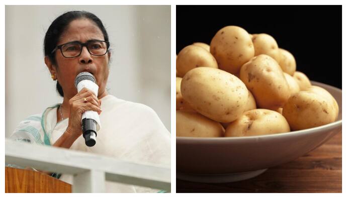 Mamata Banerjee told the cabinet meeting that she does not want any crisis over potatoes bsm