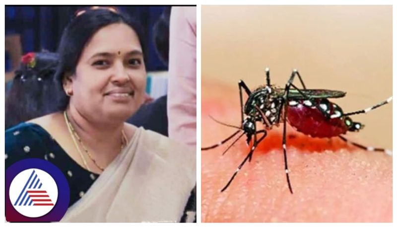 bhadravati based Nurse dies of dengue in shivamogga gow