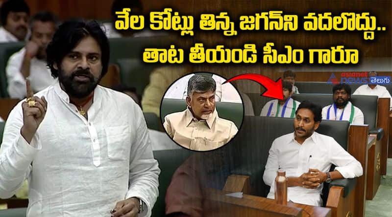 Deputy CM Pawan Kalyan Assembly Speech